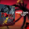Weezy Gaga - Donne moi (feat. Tout Jeune d'Afrik) - Single